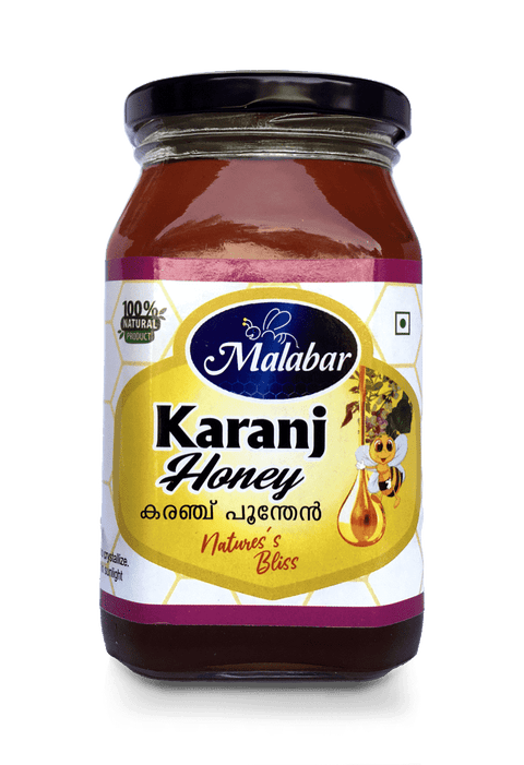 Karanj Honey 500g glass