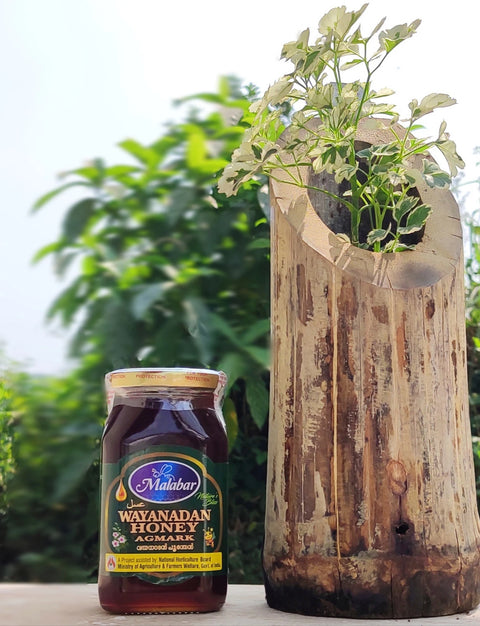 Photo of wayanadan honey