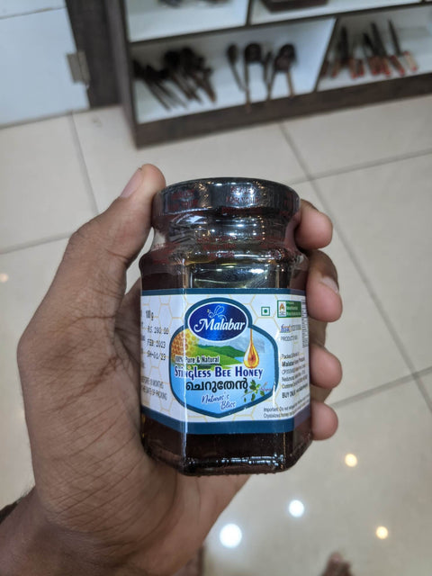 StinglessBeeHoney100g_front_hand