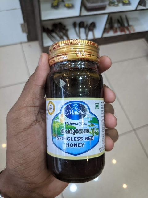 StinglessBeeHoney200g_front_hand